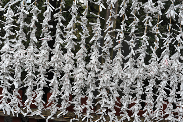 202 8 DSC_6417.jpg